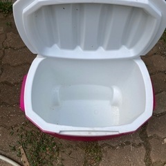 Coleman クーラーボックスの画像
