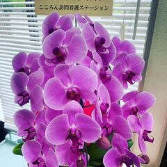 【海老名市】理学療法士 (PT) 作業療法士 (OT) 募集！の画像