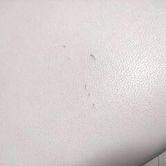 値下げしました！】カナダ・ノマド社製マッサージベッド (フク) 新潟の