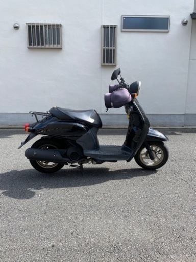 原付 ホンダ トゥデイ 自賠責10か月