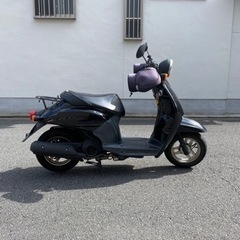 原付 ホンダ トゥデイ 自賠責10か月 