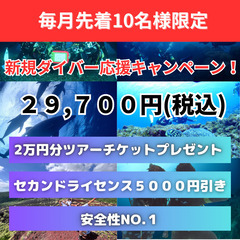 【子育て終わりの新たな趣味にダイビングを】ライセンス取得で世界が変わる！PADIのOW（オープンウォーター）ライセンスが29,700円を】ライセンス取得で世界が変わる！PADIのOW（オープンウォーター）ライセンスが29,700円の画像