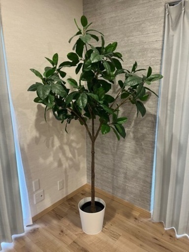 IKEA フェイカ　モクレン