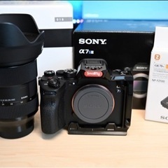 Sony α7SⅢ ボディ