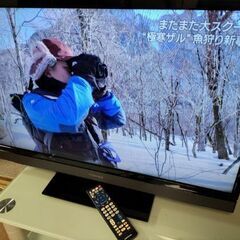 東芝(TOSHIBA) 32S5 REGZA(レグザ) 32型 ...