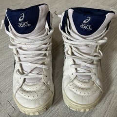 asicsバスケットシューズ24.5cm
