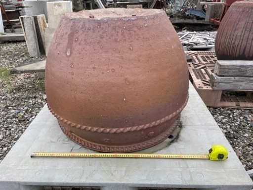 水瓶　睡蓮　鉢　メダカ　金魚　ビオトープ にいかがですか？