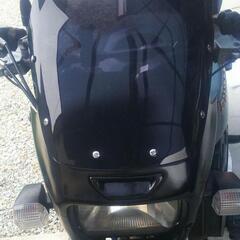 ロングスクリーンスポイラー ZRX1100 ZRX1200R /ZRX1200DAEG/ZRX400/05-08の画像