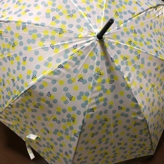 てんとう虫柄　雨傘　