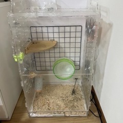 モモンガ用　GEXアクリルクリアルーム　390 High