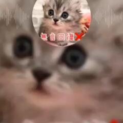 年ばっか重ねたけど