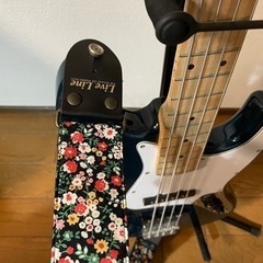 bacchusベース　無料で譲りますの画像