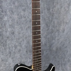 Ibanez FR1620/Blackの画像
