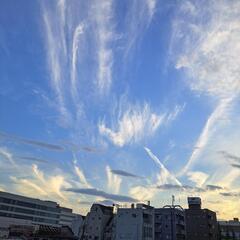 東京(都内在住)の方 − 東京都