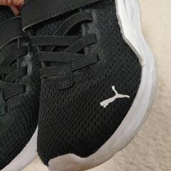 18cm PUMA スニーカーの画像