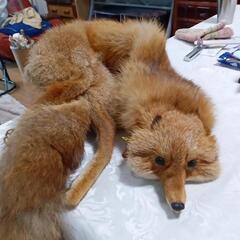 値下げしました。狐の襟巻きです。