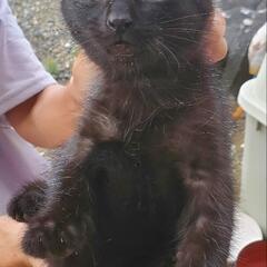 4月生まれの4兄弟です。