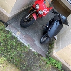 原付 DIO z4の画像