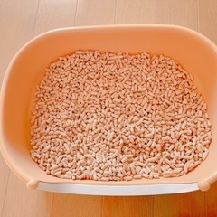 にゃんとも清潔トイレ　仔猫〜小柄な猫用　開封済みシート・チップ付き