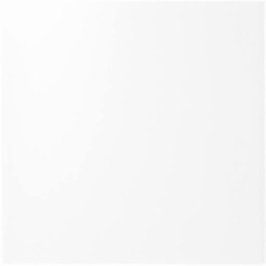 6/27秋田 巨人対ヤクルト