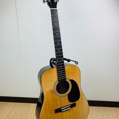 Lumber アコースティックギター LDG10NA
