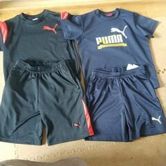 『再掲載』プーマ Tシャツ ハーフパンツ (おまけつけます)