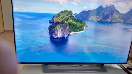 液晶テレビ 50M530X