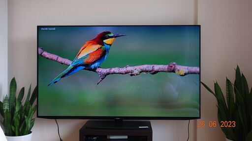 美品65sharp 4K有機 ELテレビ 音声検索（小机キャスター、テレビ回線，ネットワークケーブルも合わせてお渡しです）