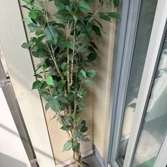 IKEA フェイカ 人工観葉植物, 室内/屋外用