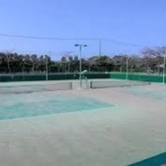 テニス仲間募集