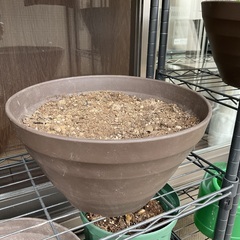 園芸用の土とプランター