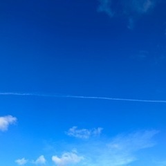 アウトドアが好きな人今日の夜空いてませんか？？
