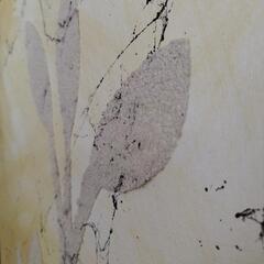 絵が好きな方!の画像