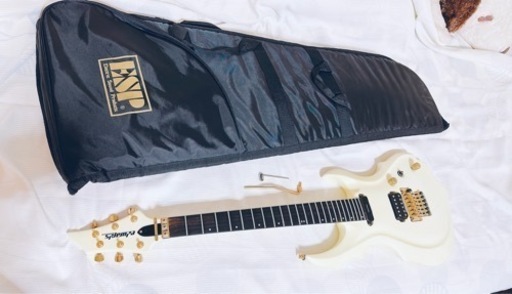 Edwards E-FR-140GT Pearl White Gold 40,560円