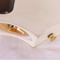 Edwards E-FR-140GT Pearl White Goldの画像