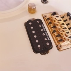 Edwards E-FR-140GT Pearl White Goldの画像