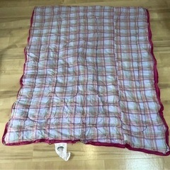 夏用　寝袋　ピンク、ブルーの画像