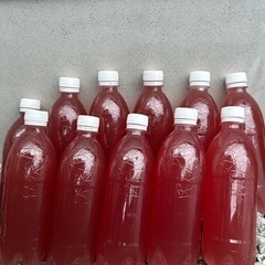 PSB(光合成細菌)500ml/1本  300円