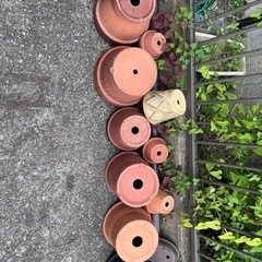 植木鉢と漬物石