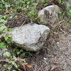 庭石（庭づくりの石材・約60個）の画像