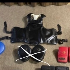 空手、ボクシング