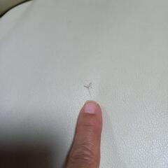 NITORI　２人掛け電動リクライニングソファーの画像