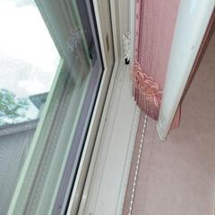 プリ−ツスクリーンフィーユ　タチカワブラインドの画像