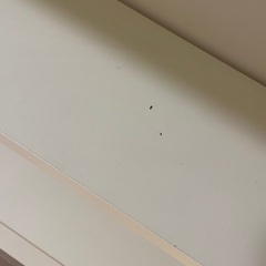 IKEA BILLY(本棚)の画像
