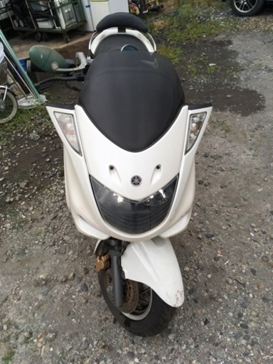 YAMAHAマジェステイ250cc