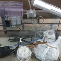 【水槽】42cmガラス水槽の飼育セット(照明有り) 