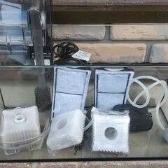 お話し中【水槽】40cmガラス水槽の飼育セット