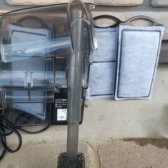 お話し中【水槽】40cmガラス水槽の飼育セットの画像