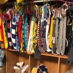犬用品いっぱい