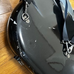 中古 ホルン C.G.Conn 6D シャイニーケース付きの画像